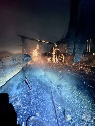 Мужчина погиб на пожаре в дачном доме в Нижегородской области - фото 3