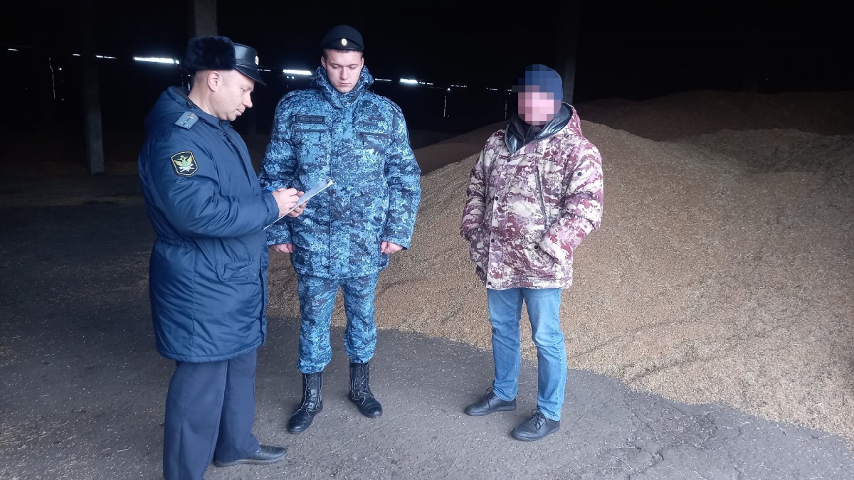 420 тонн пшеницы арестовали в Нижегородской области из-за долгов предприятия - фото 1