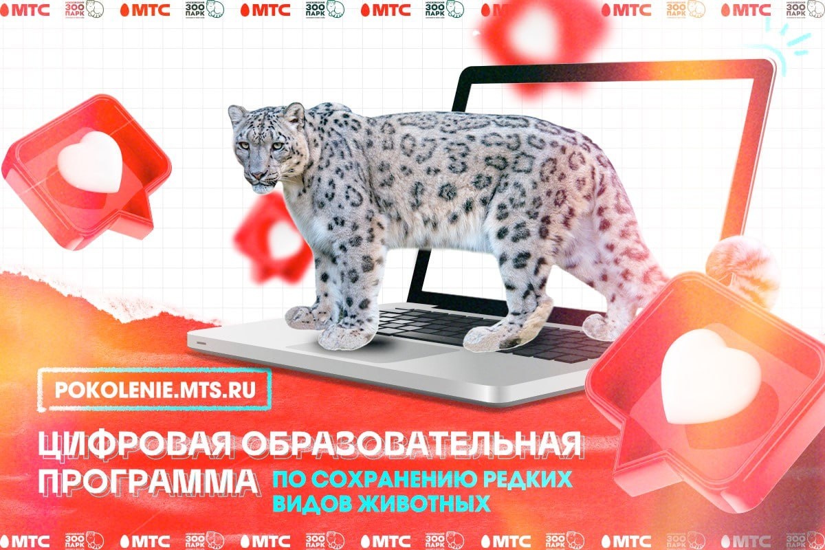 Онлайн-курс о редких видах животных смогут пройти нижегородские школьники - фото 1