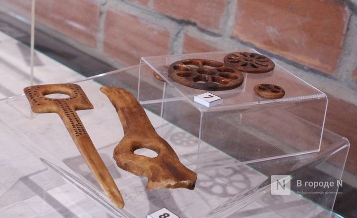 Ледниковый период по-нижегородски: палеонтологическая выставка открылась в Кремле - фото 15