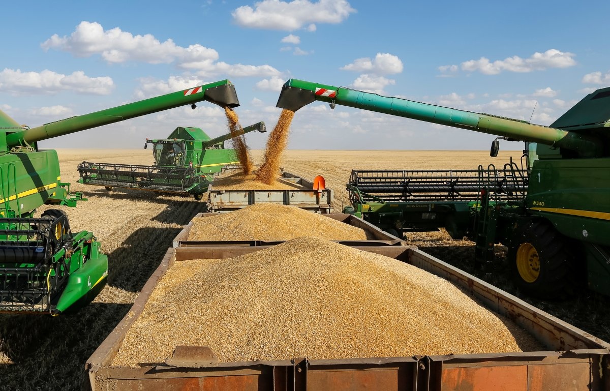 Полтора миллиона тонн зерна собрали нижегородские аграрии - фото 1