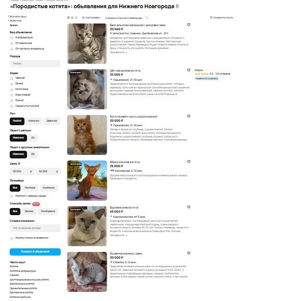 Барсик по цене &laquo;айфона&raquo;: 10 самых дорогих котов в Нижегородской области - фото 2