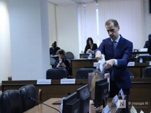 Председатель Гордумы пояснил, почему голосование по оценке нижегородских нацпроектов было тайным