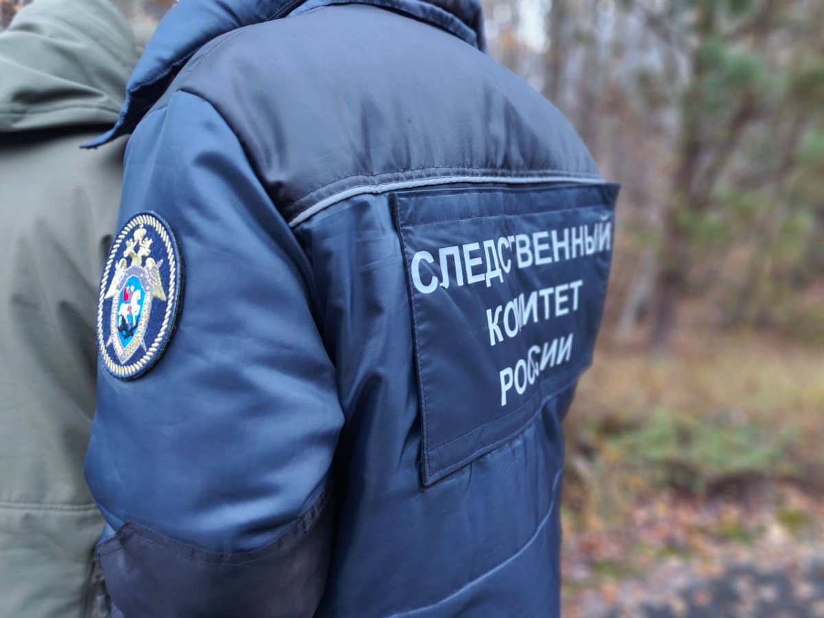 СК начал проверку после массового ДТП на трассе М-12 в Нижегородской области - фото 1