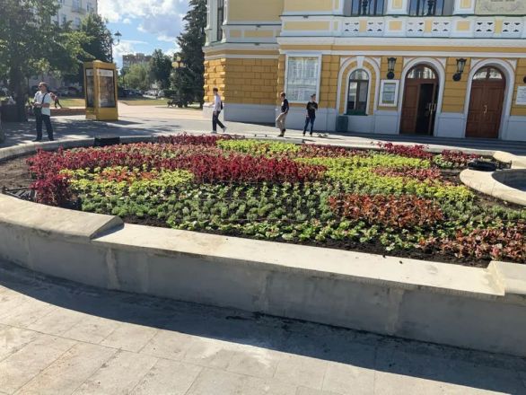 Более 50 тысяч цветов посадили в Нижегородском районе - фото 4