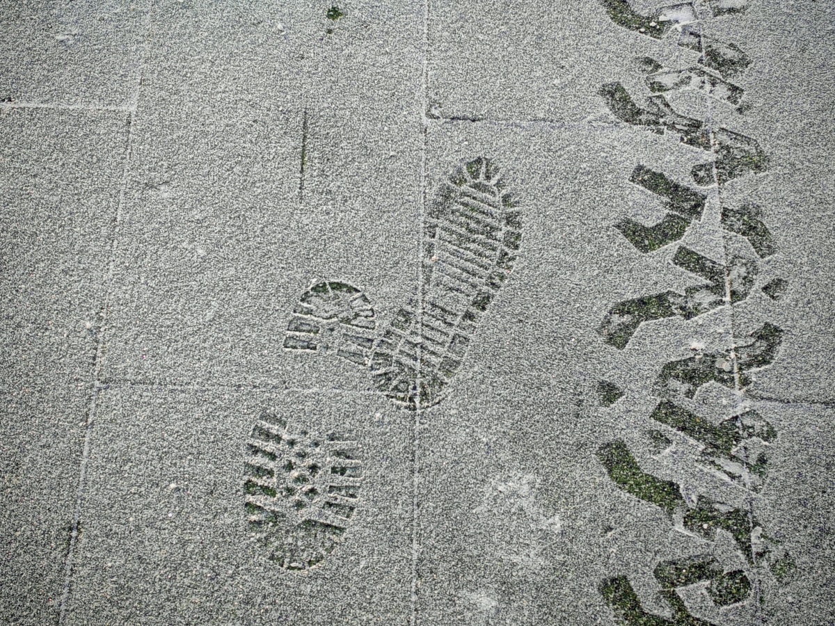 Аномальные морозы в Нижнем Новгороде: фоторепортаж из заснеженных парков - фото 5