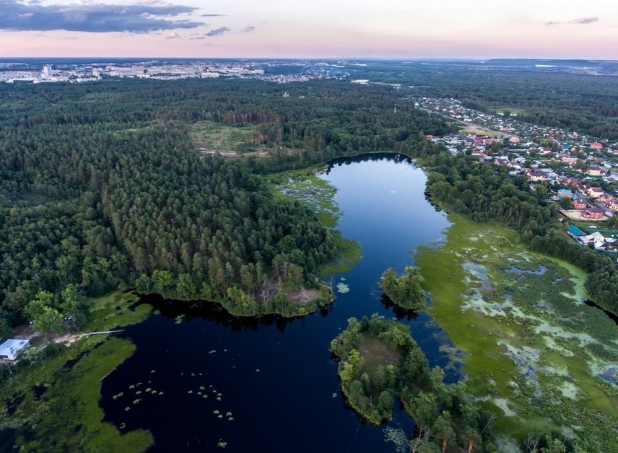 Сосновые леса под Дзержинском взяли под охрану спустя 13 лет