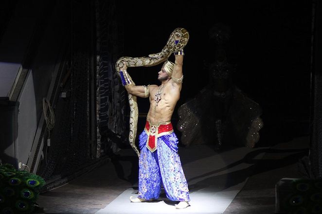 Леопарды под куполом цирка: премьера шоу &laquo;Баронеты&raquo; (ФОТО) - фото 16