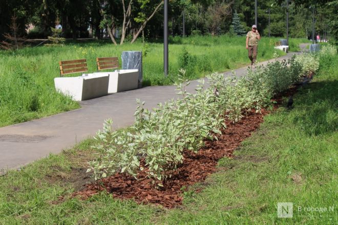 Два пространства в Нижнем Новгороде не успели благоустроить в срок - фото 4