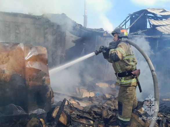 Крупный пожар вспыхнул в садовом товариществе в Нижнем Новгороде - фото 4