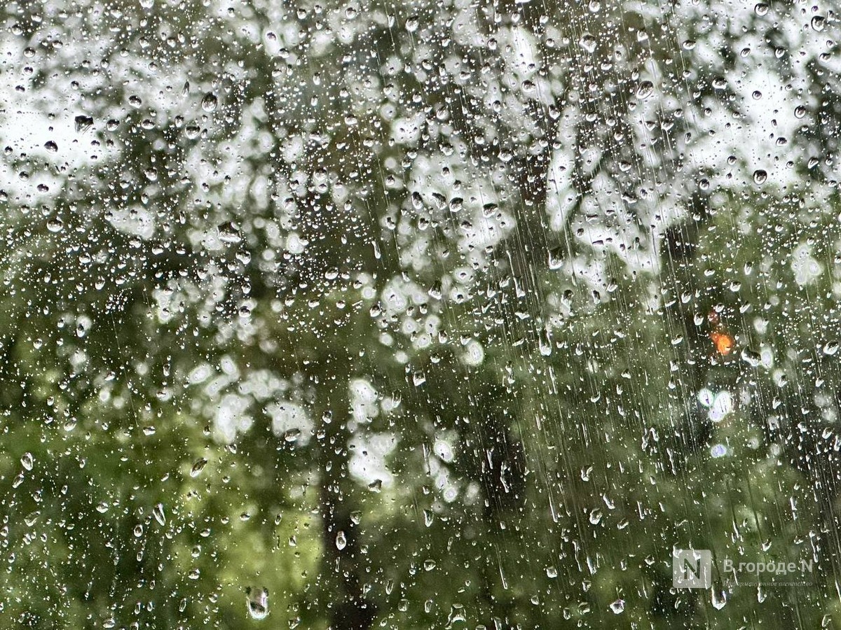 Ливни снова накроют Нижегородскую область 16 июня - фото 1