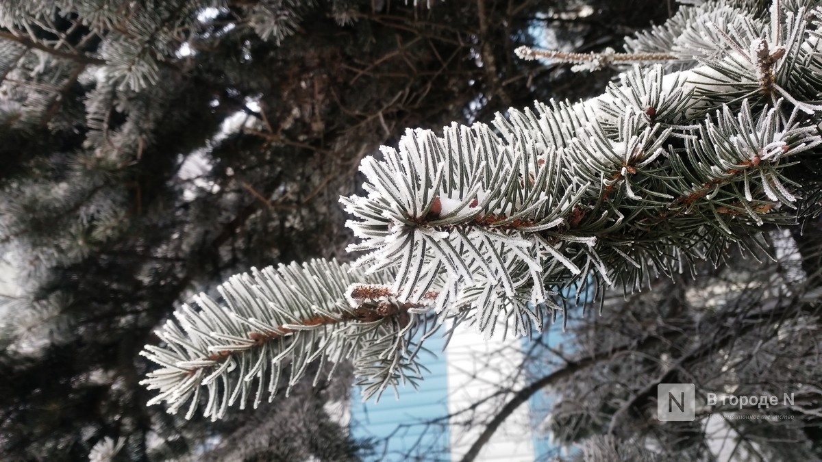 Дожди и тепло обещают нижегородцам в последнюю неделю 2024 года - фото 1