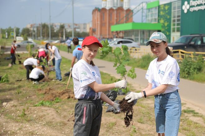 Более 55 деревьев высадили в Дзержинске 1 и 3 июня - фото 2