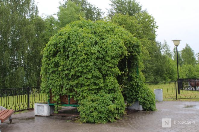 Год под крылом Нижнего Новгорода: как выглядит и чем привлекает Кстово — фоторепортаж - фото 73