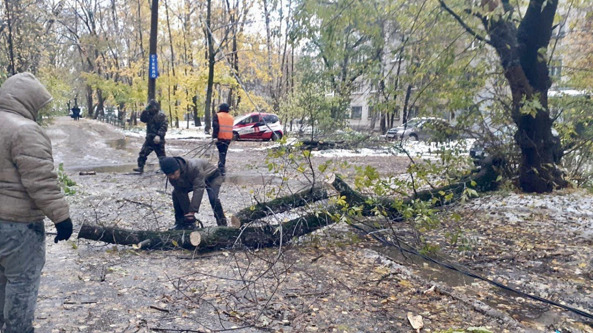 Более 200 деревьев повалило снегом и ветром в Нижнем Новгороде - фото 1