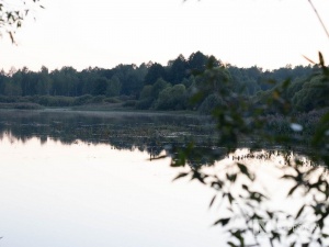 Вода не соответствует нормам в десяти озерах Нижнего Новгорода