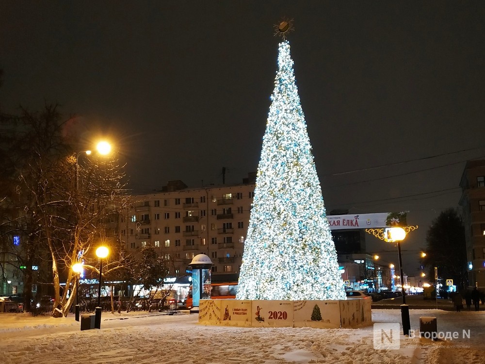 Зимних каникул в школах Нижегородской области продлевать не будут - фото 1