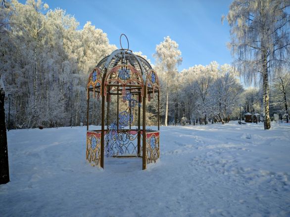 Аномальные морозы в Нижнем Новгороде: фоторепортаж из заснеженных парков - фото 7