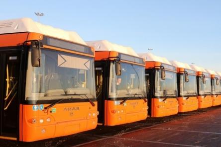 Самый высокий выпуск автобусов НПАТ на маршруты отмечен в Нижнем Новгороде 8 февраля