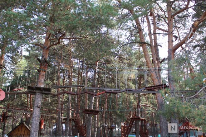 Фоторепортаж: как выглядит Сормовский парк, который ждет масштабная реконструкция - фото 36