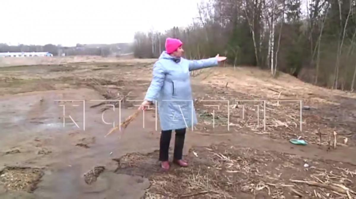 Поля под Чкаловском в Нижегородской области покрылись лужами с навозом - фото 1