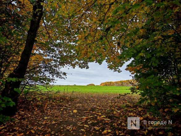 Та самая пушкинская осень: уютный фоторепортаж из Большого Болдина - фото 45